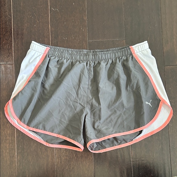 Puma Pants - Puma Women's Athletic running L Shorts Gray lined built in underwear wind sports